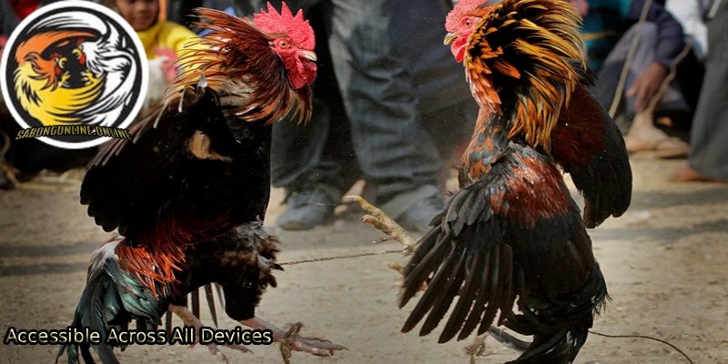 Accessible-Across-All-Devices 