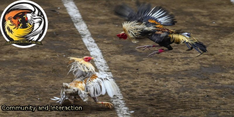 Community-and-Interaction 