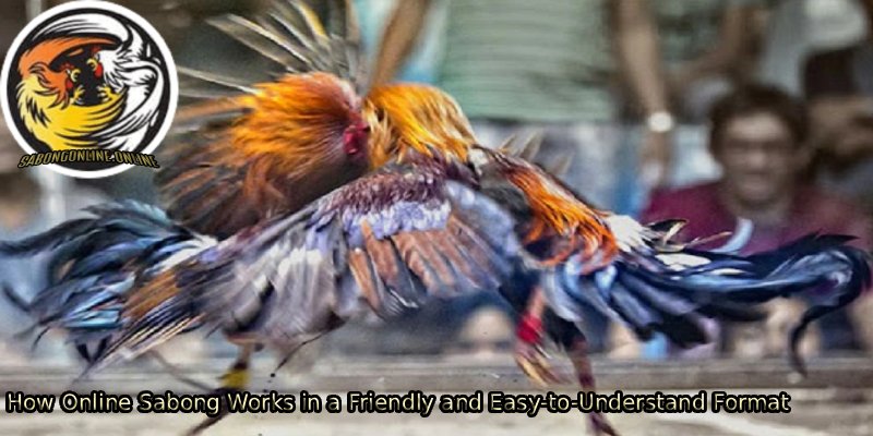 How-Online-Sabong-Works-in-a-Friendly-and-Easy-to-Understand-Format 