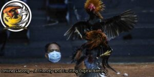 Online-Sabong-–-A-Friendly-and-Exciting-Digital-Betting