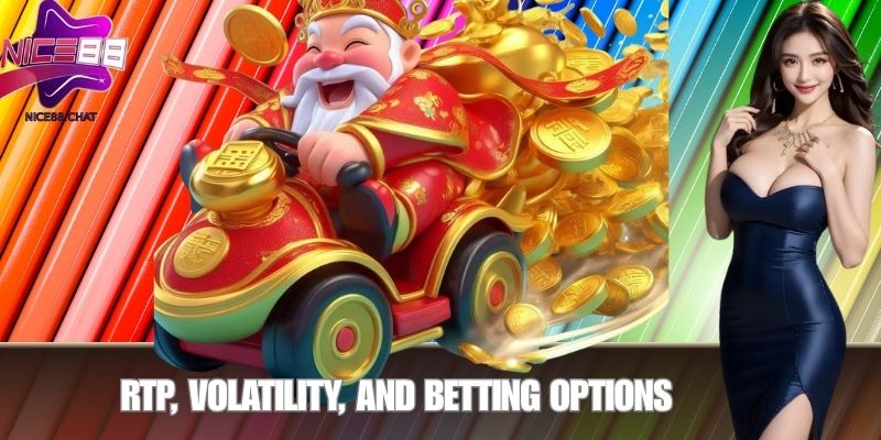 RTP, Volatility, and Betting Options