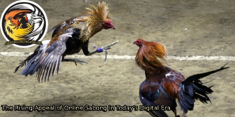 The-Rising-Appeal-of-Online-Sabong-in-Todays-Digital-Era 