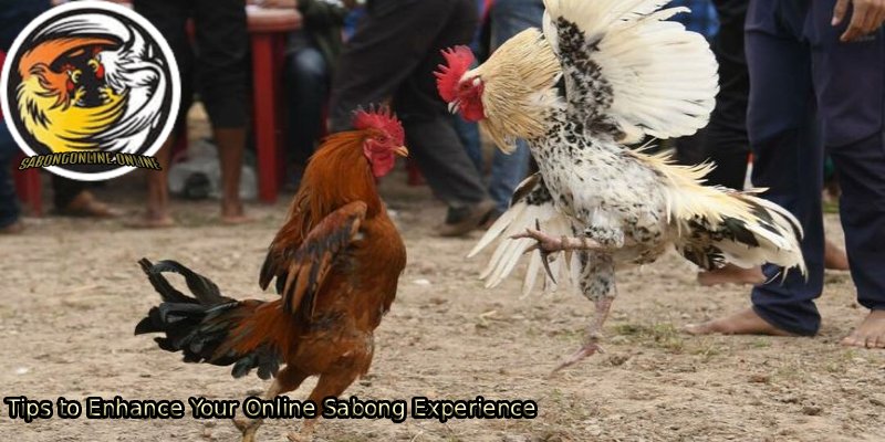 Tips-to-Enhance-Your-Online-Sabong-Experience 