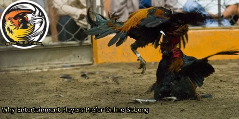 Why-Entertainment-Players-Prefer-Online-Sabong 